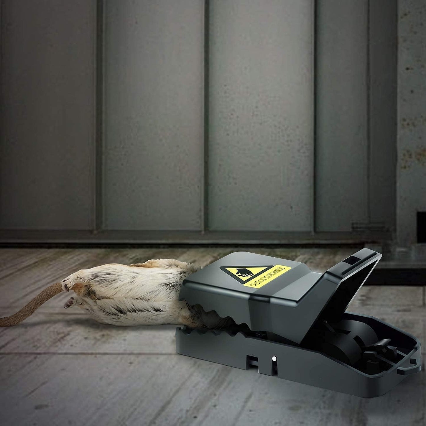 Mouse Trap