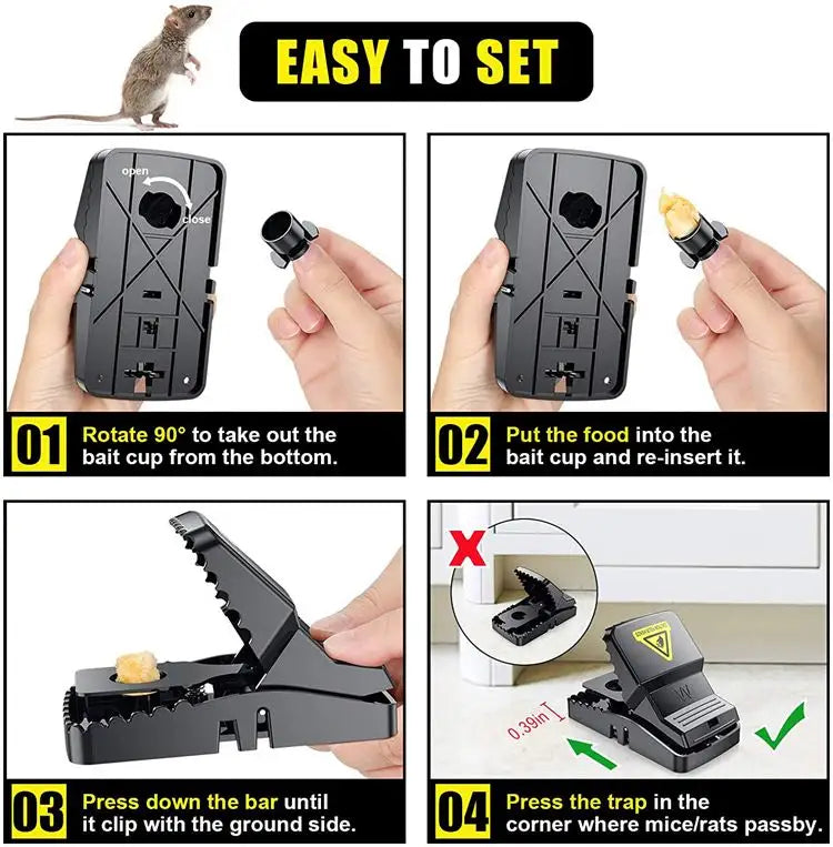 Mouse Trap