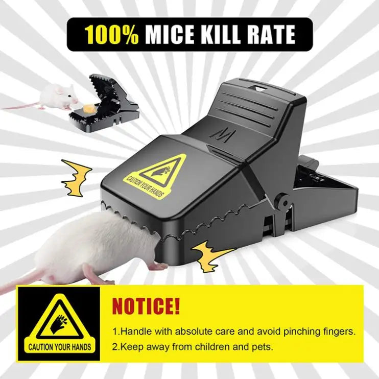 Mouse Trap