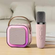 Portable Speaker With Mic